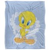 Looney Tunes Silky 50X60 Blanket, 1 Sided - 2 of 4