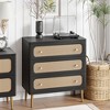JIONJOY Black Weave 3-Drawer Dresser - Fully Assembled Rattan & Wood Storage Cabinet with Antique Brass Hardware - 2 of 4
