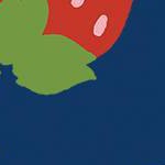 Navy Blue/Red/Green