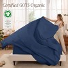 260 Thread Count Organic Cotton Percale Bed Sheet Set by Bare Home - 2 of 4