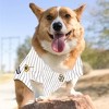 MLB San Diego Padres Fernando Tatis Jr Pets Jersey - 4 of 4