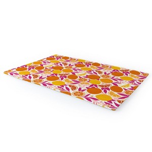 Avenie Citrus Fruits Pink Lemonade Outdoor Rug - Deny Designs - 1 of 4