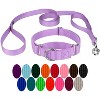 Country Brook Design Martingale Heavyduty Nylon Dog Collar and Double Handle Leash - 4 of 4