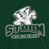 Men's Lake Erie College Distressed Primary Logo Pull-Over Hoodie - 2 of 4
