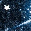 dark blue/light blue
