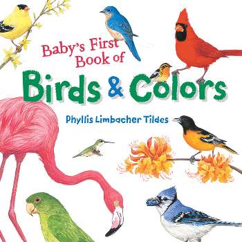 Baby's First Book of Birds & Colors - by  Phyllis Limbacher Tildes (Board Book)