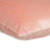 Parkland Collection,Bashira Transitional Throw Pillow - 3 of 4