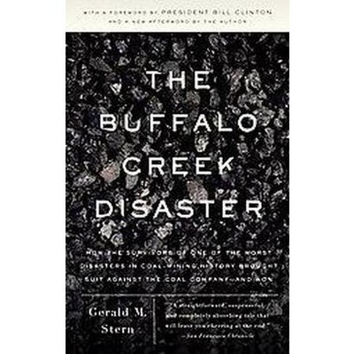 The Buffalo Creek Disaster - by  Gerald M Stern (Paperback)