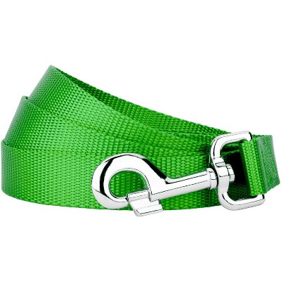 Country Brook Petz - 1 Inch Nylon Dog Leash - Hot Lime Green, 6 Foot ...