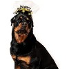 Midlee Happy New Year Dog Headband - 2 of 4