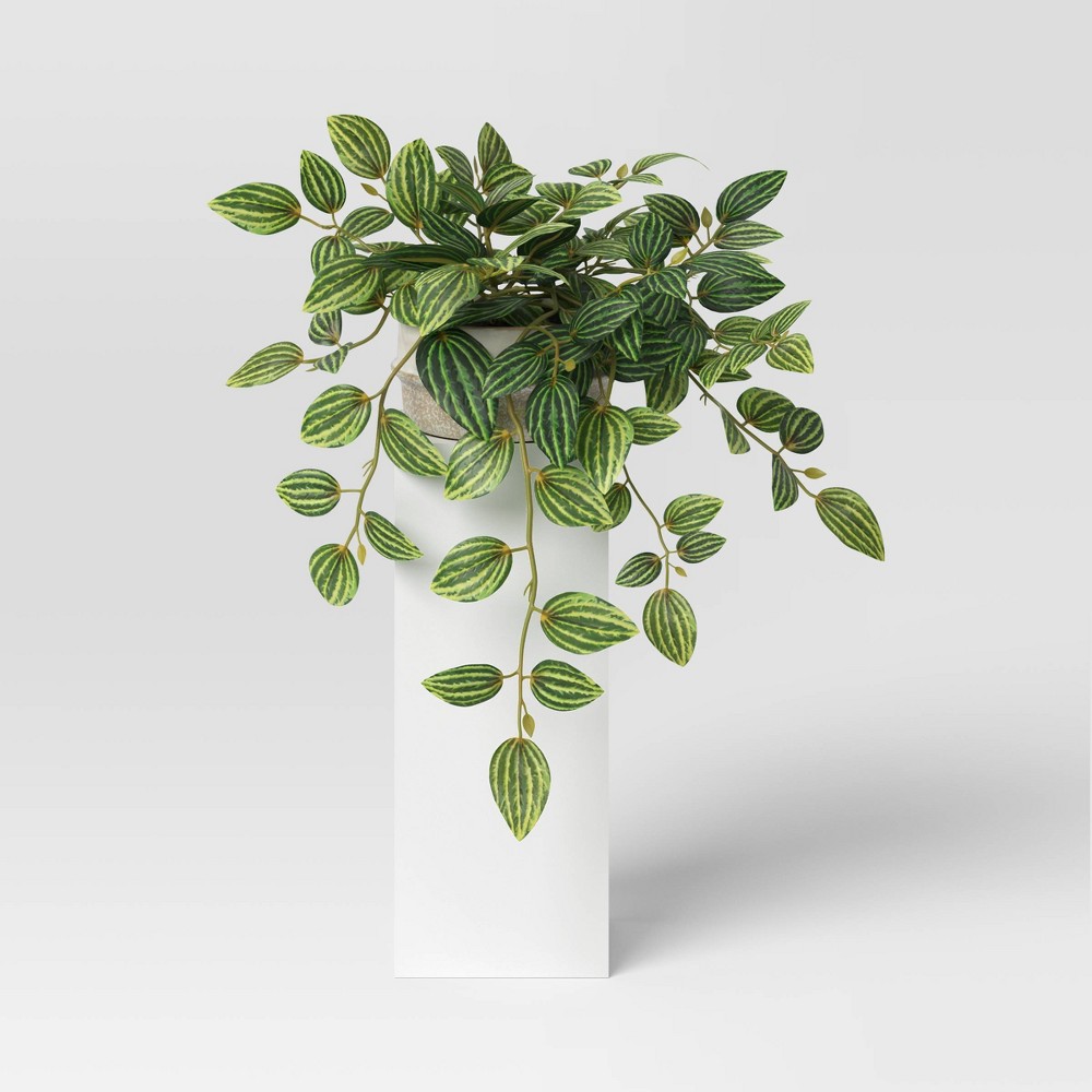 Photos - Other interior and decor 15' Small Zebra Plant Artificial Plant - Threshold™: Indoor Faux Peperomia