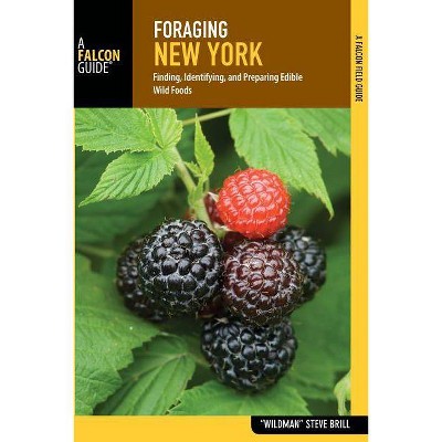 Foraging New York - by  Brill (Paperback)