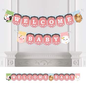 Big Dot of Happiness Girl Farm Animals - Pink Barnyard Baby Shower Bunting Banner - Party Decorations - Welcome Baby
