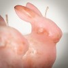 4.75"H Vance Kitira Pink Bunny Candle - Set of 2, Pink ,Scentless, Clean-Burning, Environmental Friendly - 2 of 4