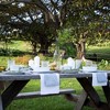 Noritake Linen Road 5-Piece Place Setting - 4 of 4