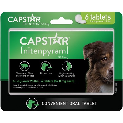 Capstar for shop dogs over 50lbs