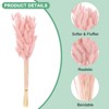Unique Bargains Artificial Dried Flowers Realistic Look Pampas Bunny Tails Grass 17 Inch - 2 of 4