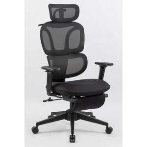 Black Ergonomic High-Back Mesh Chair: Footrest, Dynamic Lumbar, 2D Headrest, 4D Arms, Swivel - 1 of 4
