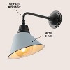 JONATHAN Y Croydon Farmhouse Industrial Indoor/Outdoor Iron LED Gooseneck Arm Outdoor Sconce - 3 of 4