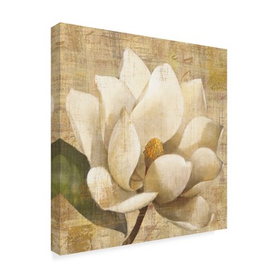 Trademark Fine Art -Albena Hristova 'Magnolia Blossom On Script' Canvas Art