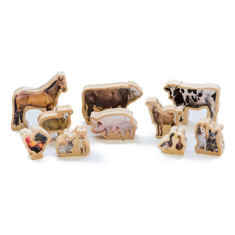 The Freckled Frog My Farm Animals, Set of 10, 1 of 5