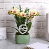 Green Circle Growers 4" Yellow Orchid Houseplant Sage Green Planter - 4 of 4