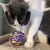 ETHICAL/SPOT Sew Much Fun Yarn Ball Cat Toys - 2.5" (2pk) - 2 of 2