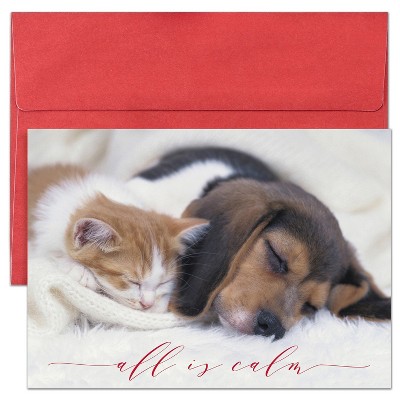 Masterpiece Studios Holiday Collection Brights Cards 16 Cards/Envelopes, All Is Calm, 5.6" x 7.8"