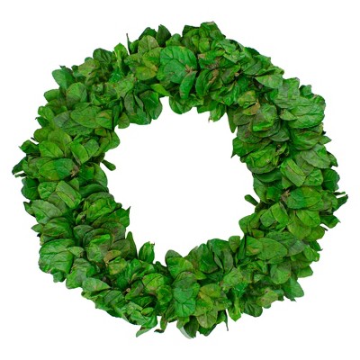 Northlight 20" Lush Green Preserved Leaf Spring Garden Wreath - Unlit