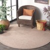 Sisal All-Weather SAW644 UV & Stain Resistant Non-Shedding Power Loomed Indoor/Outdoor Rugs - Safavieh - 3 of 4