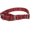 Country Brook Petz Martingale Dog Collar Country and Western Collection - 4 of 4