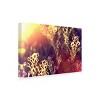 Trademark Fine Art -Beata Czyzowska Young 'Painting with Light' Canvas Art - 4 of 4