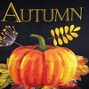 Northlight Autumn Blessings and Pumpkin Fall Harvest Outdoor House Flag - 40" x 28" - 4 of 4