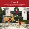 Best Choice Products 2-Piece Moose Family Lighted Christmas Yard Décor Set w/ 170 LED Lights, Stakes, Zip Ties - image 2 of 4