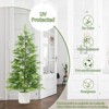2 Pack Artificial Cedar Topiary Trees for Front Porch Decor, Artificial Christmas Tree, Faux Plants for Entryway, Living Room, Office, Apartment - 3 of 4