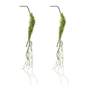 Moss Foliage Vine Branch (Set of 2) - 1 of 4