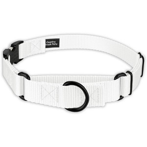 Country Brook Petz Heavyduty Nylon Martingale with Premium Buckle - 1 of 4