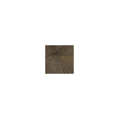 Set of 2 Round Brown Wood Accent Tables