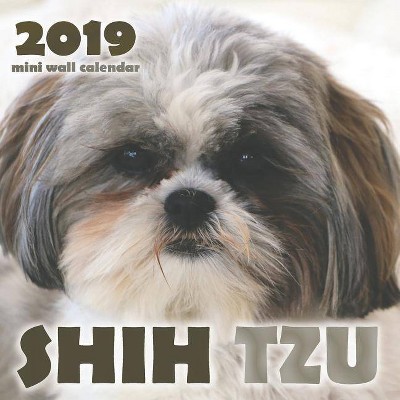 Beste Shih Tzu 2019 Mini Wall Calendar - By Over The Wall Dogs MW-17