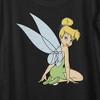 Women's Peter Pan Tinker Bell Distressed Wings Portrait - 2 of 4