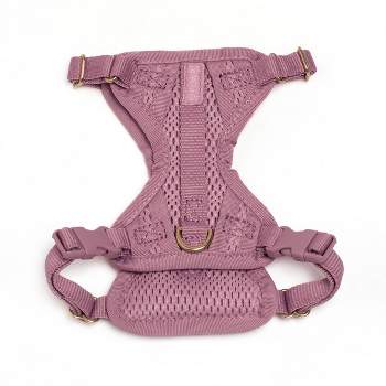AWOO Huggie Padded Recycled Air Mesh Dog Harness