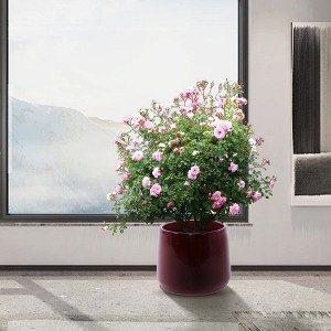 Chic Crate Set of 4 Modern Ceramic Planters with Drainage – Stylish Pots for Patio, Garden & Windowsills - 1 of 4