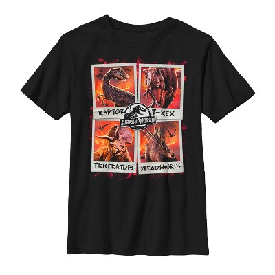 Boy's Jurassic World: Fallen Kingdom Fire Polaroid T-shirt : Target