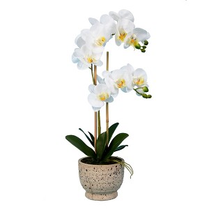 Vickerman 23" Artificial White Phalaenopsis In Pot. - 1 of 4