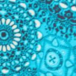 vibrant turq medallion