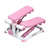 Sunny Health & Fitness Total Body Step Machine - Pink - 2 of 4