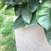 Set of 3 Kante Lightweight Modern Square Outdoor Planters Weathered Concrete - Rosemead Home & Garden, Inc. - 4 of 4