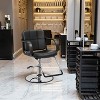 FDW Hydraulic Barber Salon Chair with Swivel Pump for Hair Styling, Tattoo and Shampoo Equipment (Dark Black) - 2 of 4