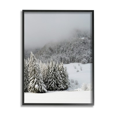 Stupell Industries Winter Snowscape Woodland Trees Framed Giclee Art