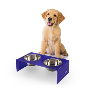 THE LICKER STORE Keaton Modern Acrylic Rectangular Elevated Pet Feeder - 1 of 4